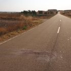 Carretera VP-7000 a la altura de San Román de Hornija, donde se produjo el atropello.