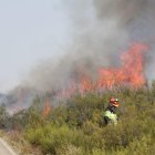 Incendio de Puercas en Zamora
