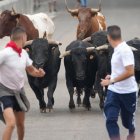 Imagen del encierro de Tudela de Duero