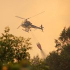 Incendio en Fasgar (León).