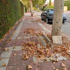 Proyectos no ejecutados por el Ayuntamiento de Valladolid.