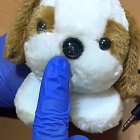 Peluche con un sistema de grabación, en una imagen de archivo