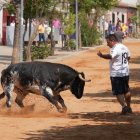 Tradicional encierro urbano en serrada