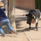 Tradicional encierro urbano en serrada