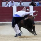 Concurso Mundial de Cortes con toros de Antonio Bañuelos.