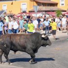 Torneo del Toro De la Vega 2025 en Tordesillas