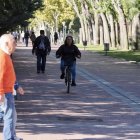 Estado actual de los carriles bici del paseo del Cauce y la calle Rábida.