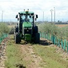 Un tractor recorre un campo de cultivos leñosos.