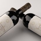 Converso, el vino tinto elegido para la boda de la hija de Antonio Banderas.