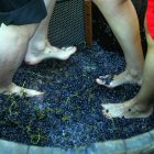 Pisada de uvas, una de las actividades de la III Feria del Vino de Aldeadávila de la Ribera