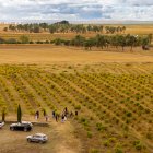 Evento de las nuevas instalaciones de Ossian, de Alma Carraovejas.
