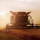 Una cosechadora en una explotación agrícola de Castilla y León.