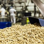 Almendras siendo procesadas tras la recolección.

Joaquín Reina - Europa Press