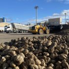 Archivo - Arranca la campaña remolachera en ACOR, que prevé molturar 1.100.000 toneladas recogidas en 10.000 hectáreas .