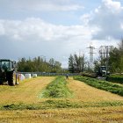 Siega de alfalfa en una explotación agrícola de Tierra de Campos (Valladolid)
