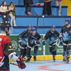 CPLV - Espanya de Copa del Rey.