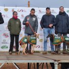 CAMPEONATO NACIONAL DE GALGOS Y COPA DEL REY 2026