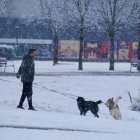 Nieve en la zona del lago en Laguna de Duero.
