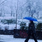 Nieve en la zona del lago en Laguna de Duero.