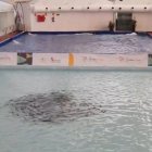 Balsas para aprender a pescar en la Cúpula del Milenio de Valladolid.