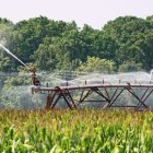 Instalación de regadio con pivot en una plantación de maíz