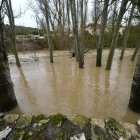 Un hombre observa el Cega a su paso por Megeces en Valladolid.