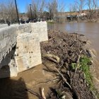 Troncos en el río en el puente de Simancas de Valladolid.
