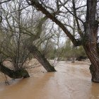 Río Duero a su paso por la localidad vallisoletana de Quintanilla de Onésimo