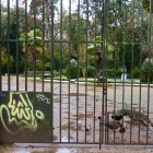Cierran el Campo Grande ante la alerta de la Aemet.