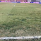 Césped de Vallecas tras la suspensión de su partido ante el Rayo.