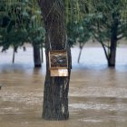 El Duero pasa muy crecido en Tudela de Duero.
