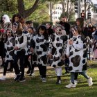Pasacalles de carnaval por los barrios Villa del Prado, Huerta del Rey y Girón
