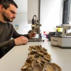 Asier García Escárzaga.