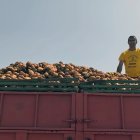 Aurelio García posa en una de sus parcelas.