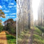 El paseo del Río Esgueva combina caminos entre árboles y tramos junto al agua en uno de los recorridos más desconocidos de Valladolid