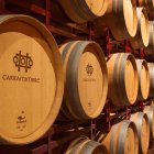 Bodega perteneciente a ASEBOR, Carramimbre.