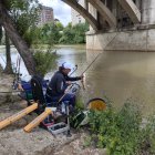 Un aficionado en el concurso de pesca de Agua Dulce Trofeo de San Lorenzo de Valladolid.
