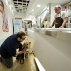 Alejandro Centeno con su perro guía Usera