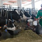 Una granja de vacuno en la localidad de Santa Cristina de la Polvorosa. ICAL