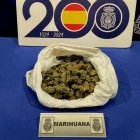 Cogollos de marihuana intervenidos al varón arrestado en la Pilarica