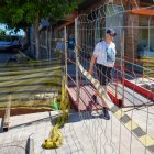 Obras de la red de calor de Parquesol.
