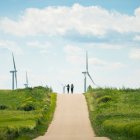 Varios molinos de viento de un parque eólico de la compañía eléctrica.