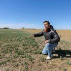 Un agricultor muestra el mal estado del cultivo en una campaña anterior- ICAL
