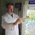 Sergio Cerezo Medina, del Irnsa-CSIC, sostiene un recipiente transparente con pequeñas plantas verdes mientras observa su contenido.