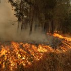 Incendio de Burgohondo, en la provincia de Ávila