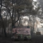 Terreno quemado por el incendio forestal a las afueras de Casavieja, en Ávila