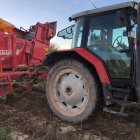 Recogida de patata en el Valle de Valdelucio, en Burgos, una zona de referencia en Castilla y León que habitualmente arroja grandes producciones