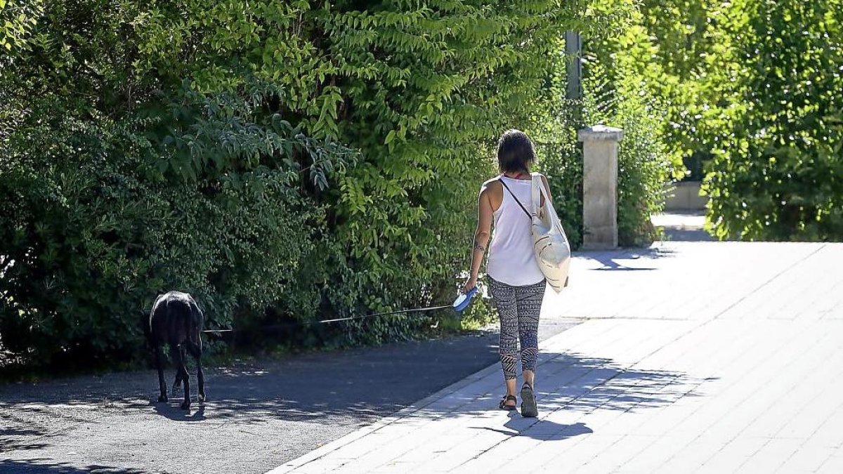 Una mujer pasea a su perro en las calles de Valladolid. -PHOTOGENIC