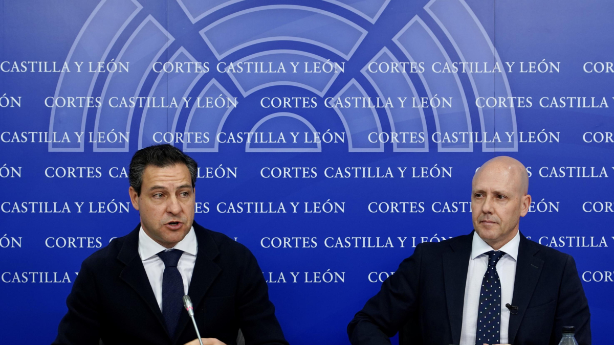 Los portavoces de los grupos PP y Vox en las Cortes, Raúl de la Hoz y Carlos Menéndez.