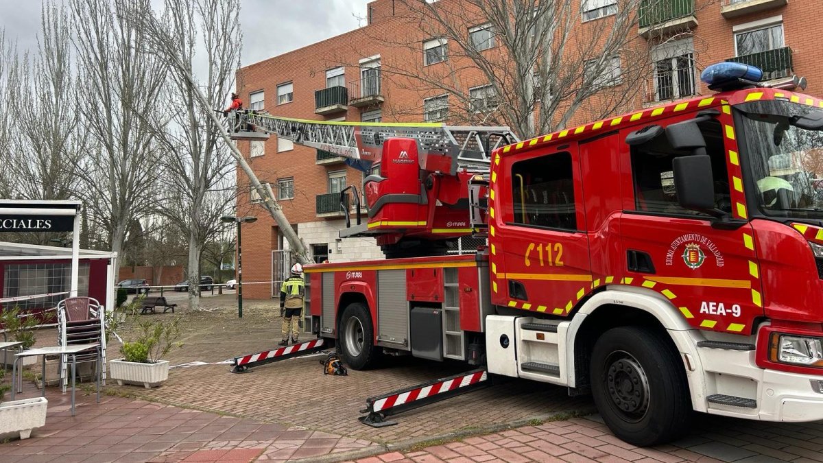Salida de los bomberos por el temporal en Valladolid
